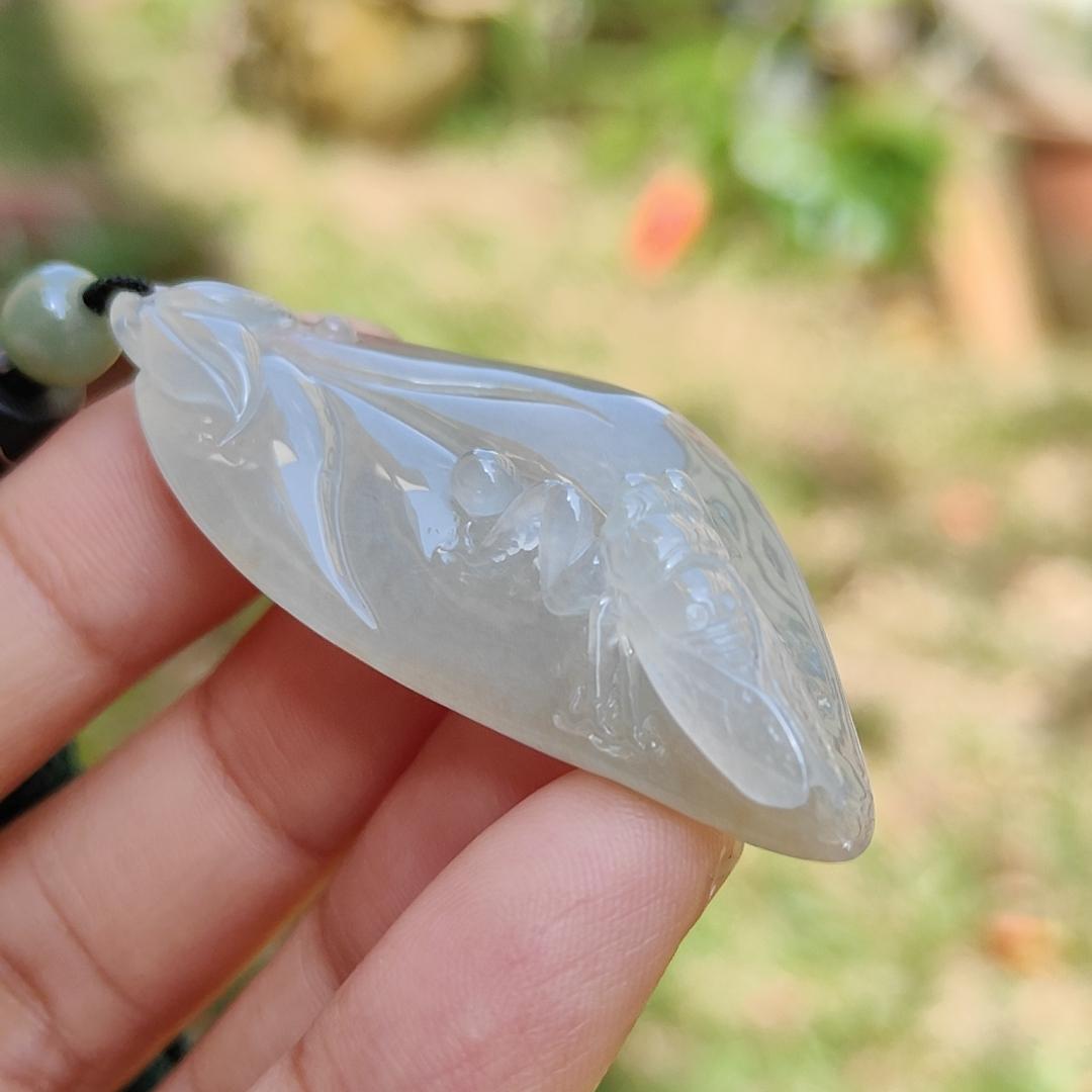 Icy Translucent with Yellow Patches Natural Type A Jadeite Jade crafted with leaf and Cicada as a Pendant, certificate weigh 13.68 grams, measurement 52 * 21.7 * 11.8 mm (pendant224)