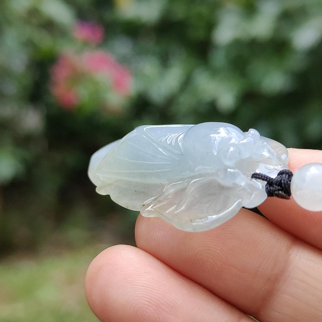 Crafted as cicada using Natural Type A Jadeite Jade as a Pendant Necklace with certificate weigh 9.25 grams, measurement 40.3 * 23.2 * 9.5 mm (pendant185)