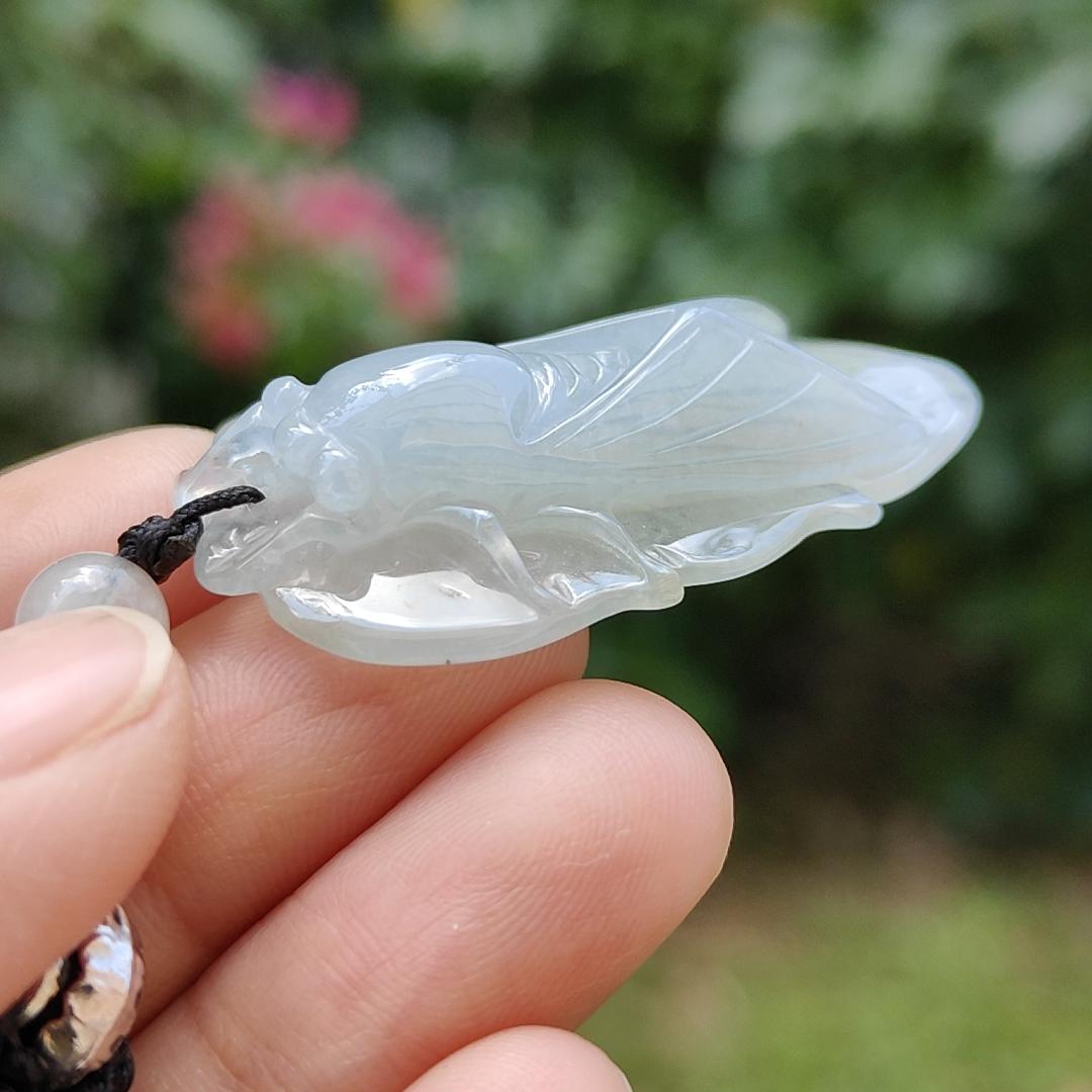 Crafted as cicada using Natural Type A Jadeite Jade as a Pendant Necklace with certificate weigh 9.25 grams, measurement 40.3 * 23.2 * 9.5 mm (pendant185)