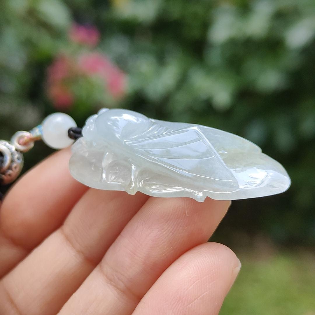 Crafted as cicada using Natural Type A Jadeite Jade as a Pendant Necklace with certificate weigh 9.25 grams, measurement 40.3 * 23.2 * 9.5 mm (pendant185)