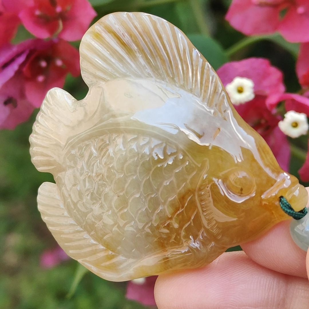 Yellow Natural Type A Jadeite Pendant carved as Fish with certificate weigh 28.33 grams, 55 * 50.2 * 7 mm, meaning Many sons and many blessings, full of children and grandchildren and Life is harmonious and smooth,free from worries and sorrows (pendant77)